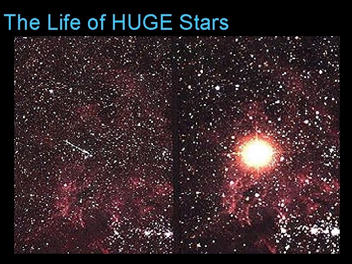 The Life of HUGE Stars 