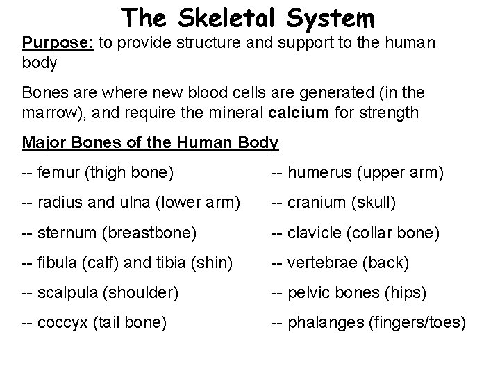 The Skeletal System Purpose: to provide structure and support to the human body Bones