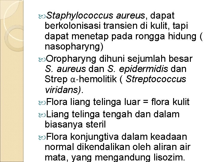  Staphylococcus aureus, dapat berkolonisasi transien di kulit, tapi dapat menetap pada rongga hidung