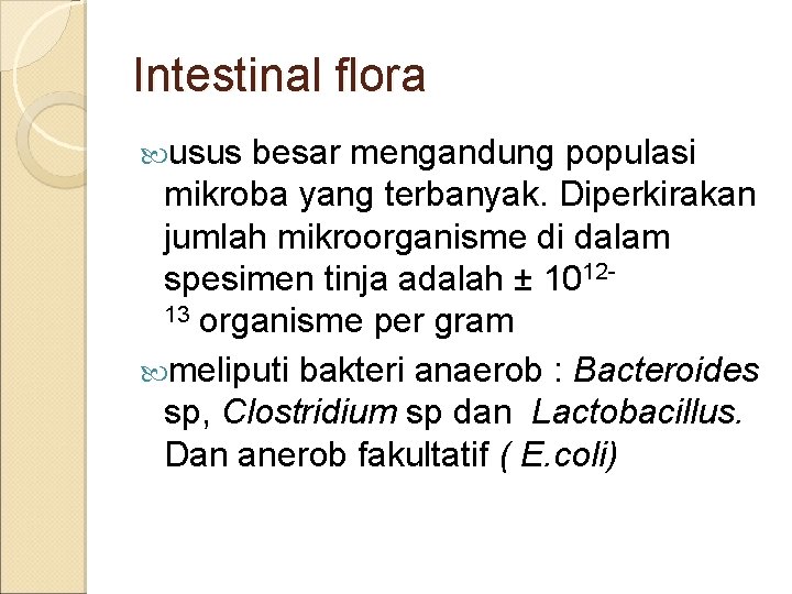 Intestinal flora usus besar mengandung populasi mikroba yang terbanyak. Diperkirakan jumlah mikroorganisme di dalam