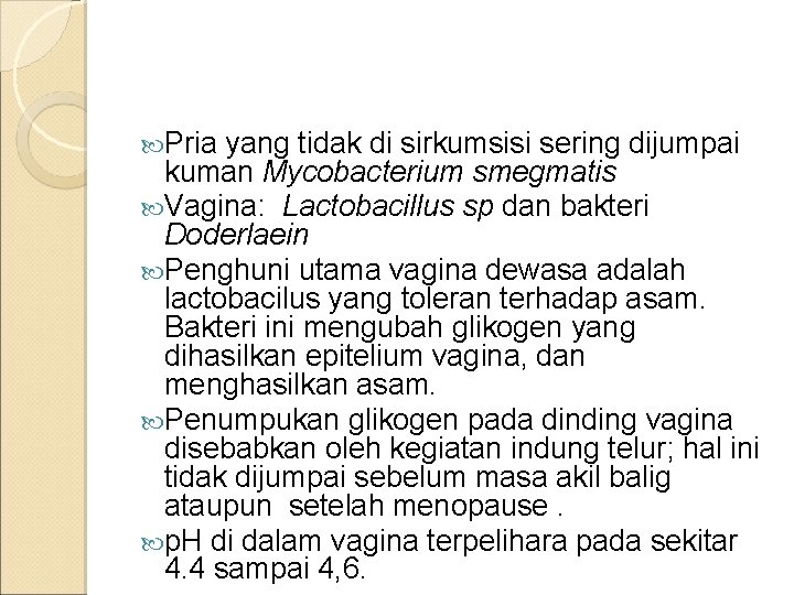  Pria yang tidak di sirkumsisi sering dijumpai kuman Mycobacterium smegmatis Vagina: Lactobacillus sp
