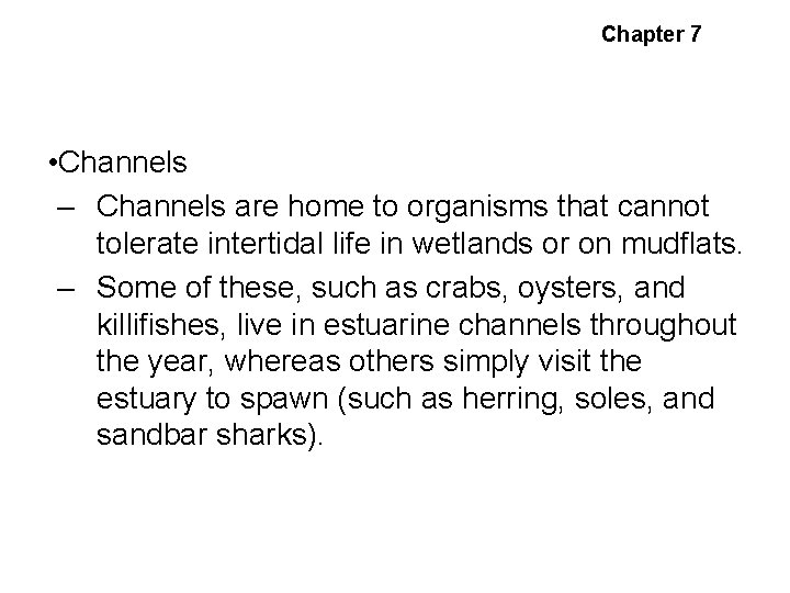 Estuarine Habitats and Communities Chapter 7 • Channels – Channels are home to organisms