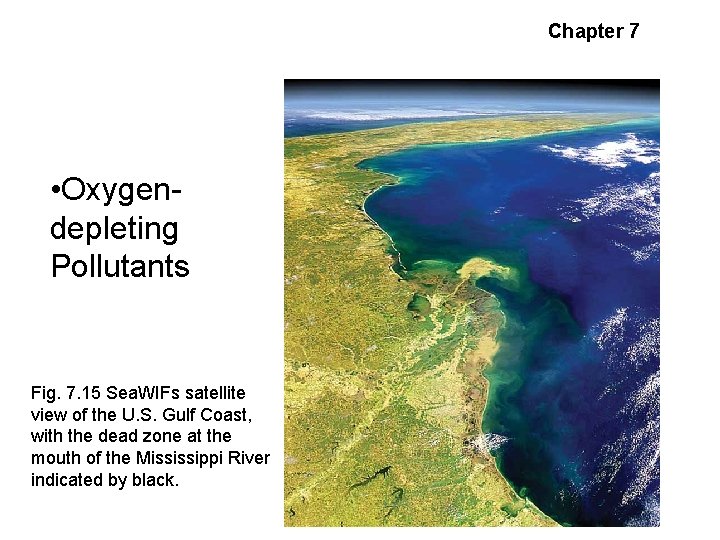 Environmental Pollutants • Oxygendepleting Pollutants Fig. 7. 15 Sea. WIFs satellite view of the