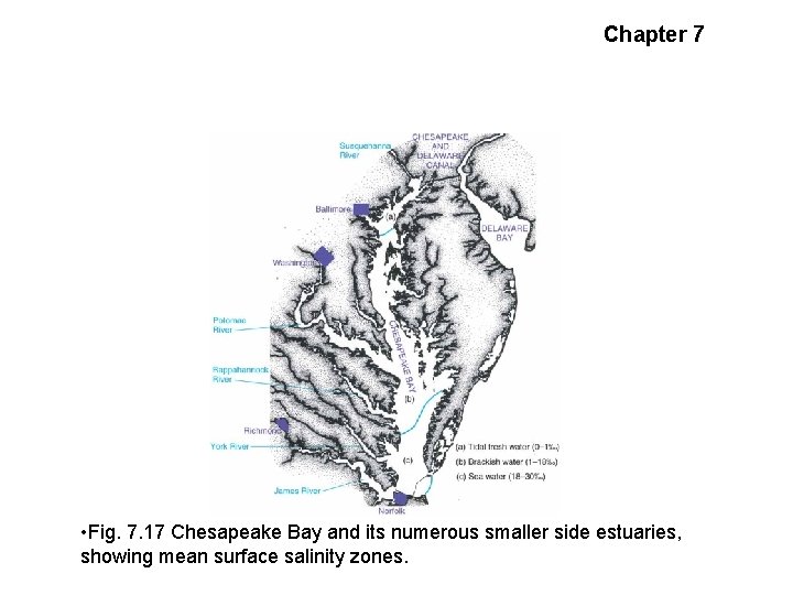 Chapter 7 The Chesapeake Bay System • Fig. 7. 17 Chesapeake Bay and its