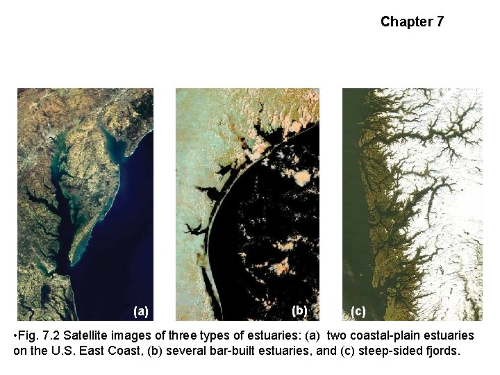 Chapter 7 Types of Estuaries (a) (b) (c) • Fig. 7. 2 Satellite images