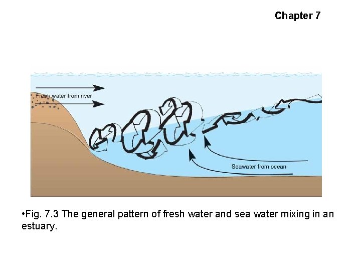 Chapter 7 Estuarine Circulation • Fig. 7. 3 The general pattern of fresh water