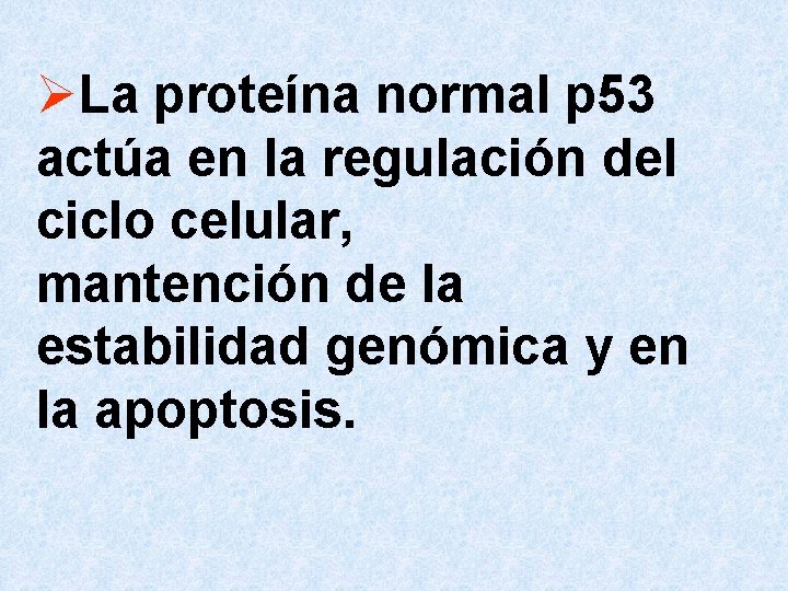 ØLa proteína normal p 53 actúa en la regulación del ciclo celular, mantención de