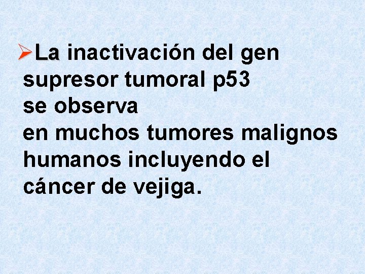 ØLa inactivación del gen supresor tumoral p 53 se observa en muchos tumores malignos