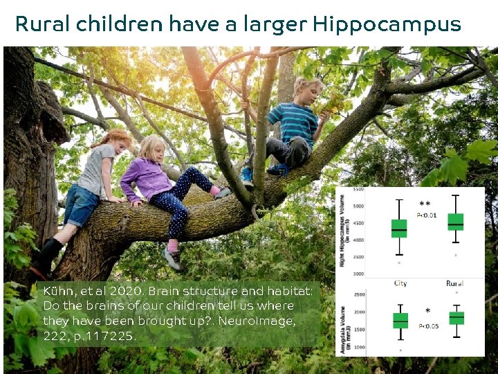 Rural children have a larger Hippocampus Kühn, et al 2020. Brain structure and habitat:
