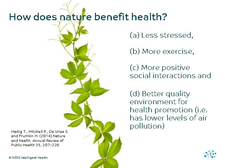 How does nature benefit health? (a) Less stressed, (b) More exercise, (c) More positive