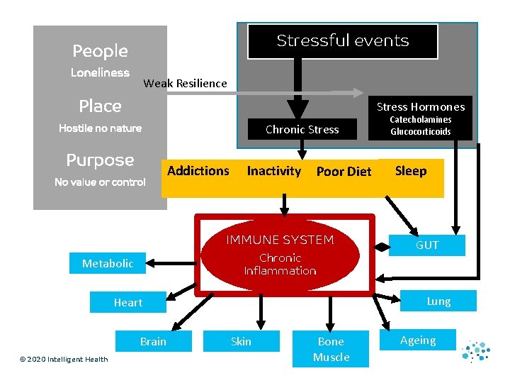 Stressful events People Loneliness Weak Resilience Place Stress Hormones Hostile no nature Purpose No