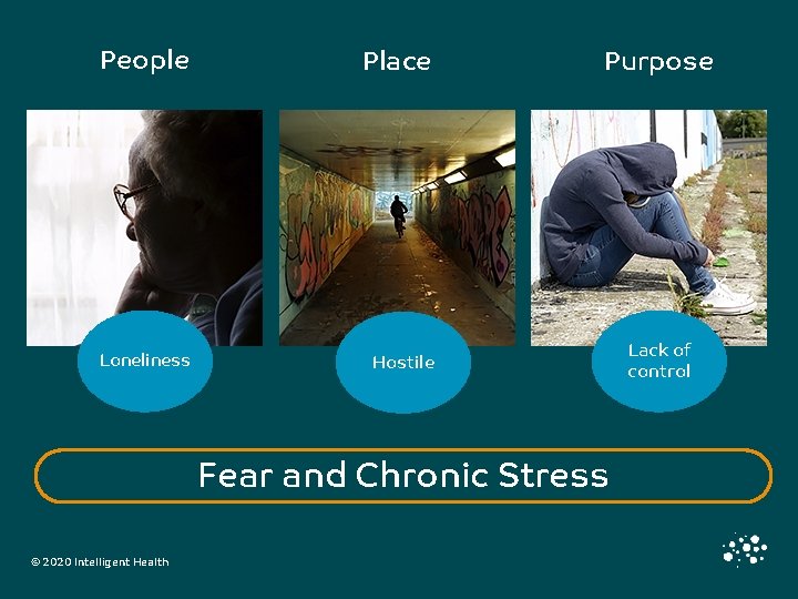 People Place Loneliness Hostile Purpose Fear and Chronic Stress © 2020 Intelligent Health Lack
