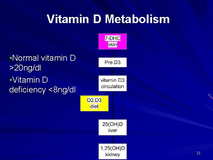 Vitamin D Metabolism • Normal vitamin D >20 ng/dl • Vitamin D deficiency <8