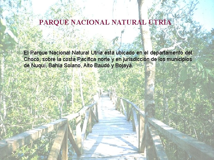 PARQUE NACIONAL NATURAL UTRÍA El Parque Nacional Natural Utría está ubicado en el departamento