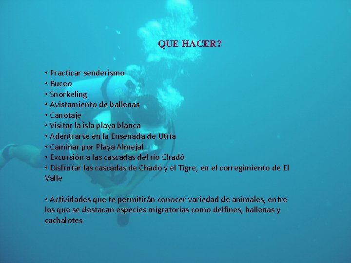 QUE HACER? • Practicar senderismo • Buceo • Snorkeling • Avistamiento de ballenas •