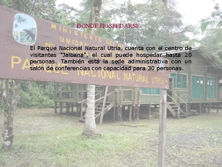 DONDE HOSPEDARSE El Parque Nacional Natural Utría, cuenta con el centro de visitantes "Jaibaná",