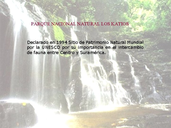 PARQUE NACIONAL NATURAL LOS KATIOS Declarado en 1994 Sitio de Patrimonio Natural Mundial por