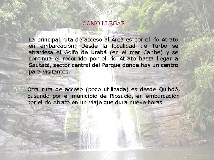 COMO LLEGAR La principal ruta de acceso al Área es por el río Atrato