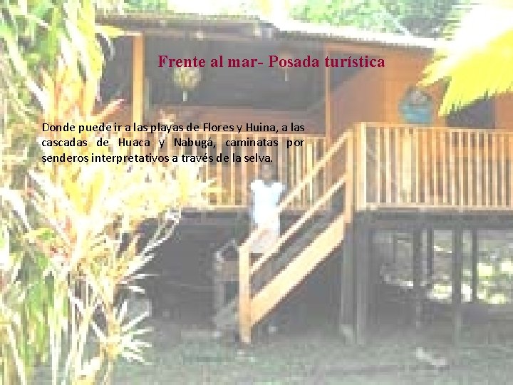 Frente al mar- Posada turística Donde puede ir a las playas de Flores y