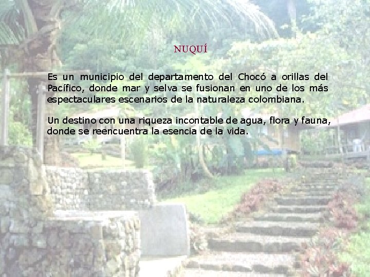 NUQUÍ Es un municipio del departamento del Chocó a orillas del Pacífico, donde mar