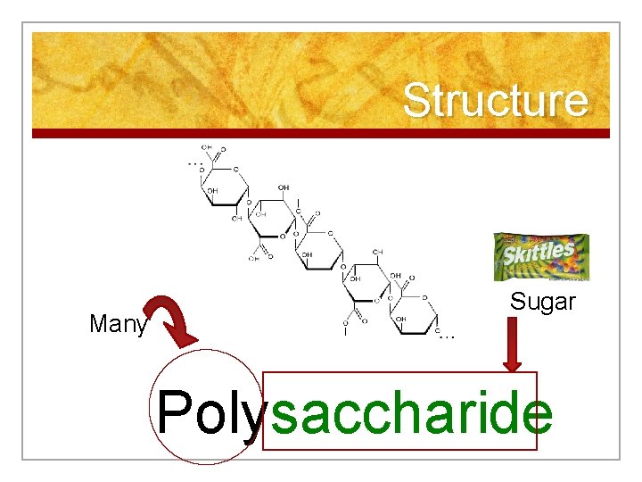 Structure Many Sugar Polysaccharide 