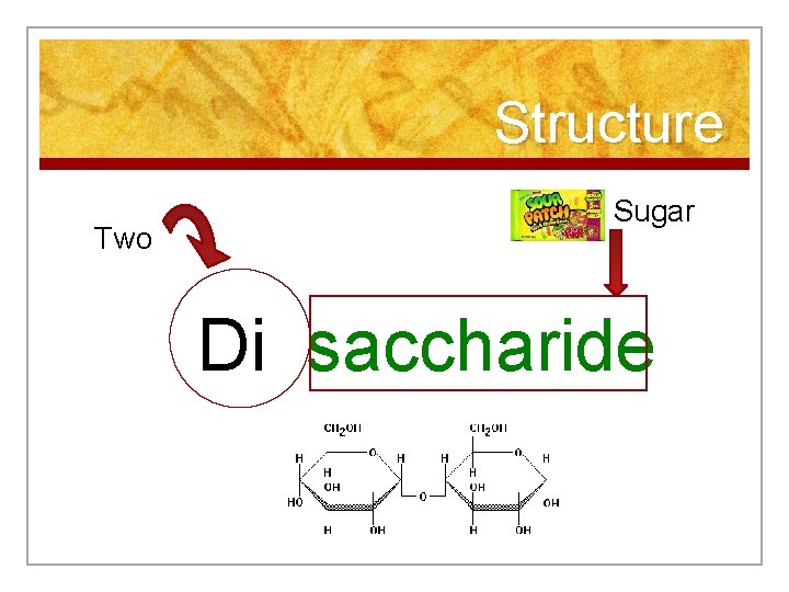 Structure Two Sugar Di saccharide 