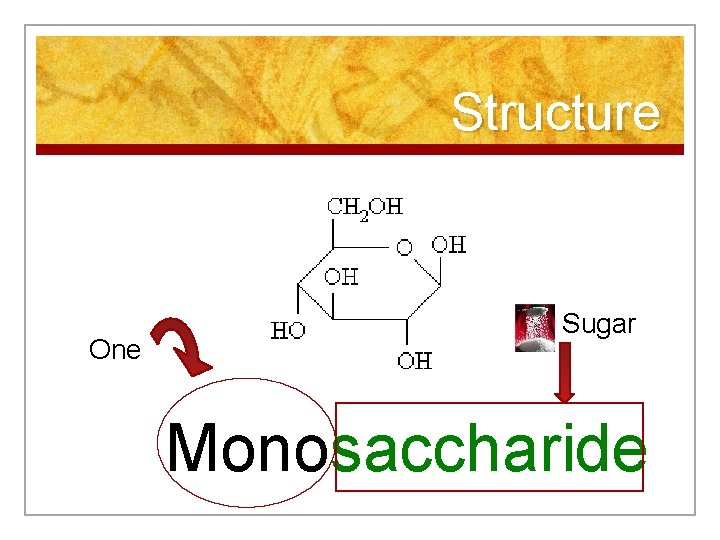 Structure One Sugar Monosaccharide 