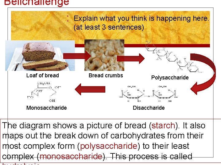Bellchallenge : Loaf of bread Monosaccharide Explain what you think is happening here. (at