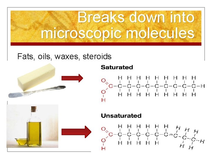 Breaks down into microscopic molecules Fats, oils, waxes, steroids 