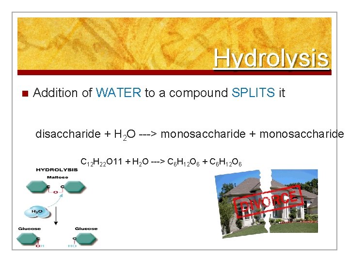 Hydrolysis n Addition of WATER to a compound SPLITS it disaccharide + H 2