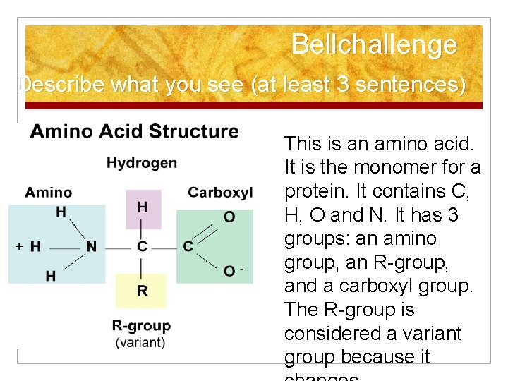 Bellchallenge: Describe what you see (at least 3 sentences) This is an amino acid.