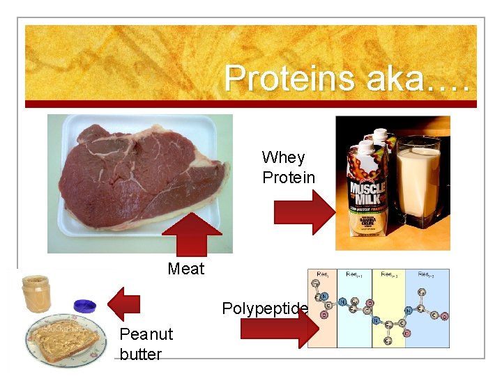 Proteins aka…. Whey Protein Meat Polypeptide Peanut butter 