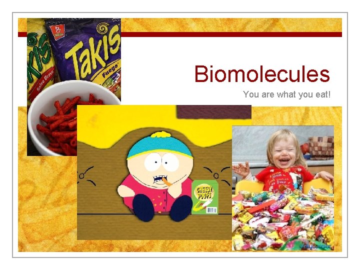 Biomolecules You are what you eat! 