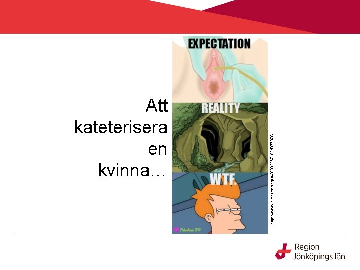 https: //www. pinterest. se/pin/303922674824877378/ Att kateterisera en kvinna… 