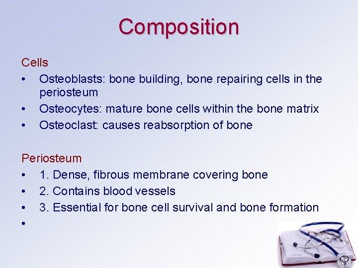 Composition Cells • Osteoblasts: bone building, bone repairing cells in the periosteum • Osteocytes: