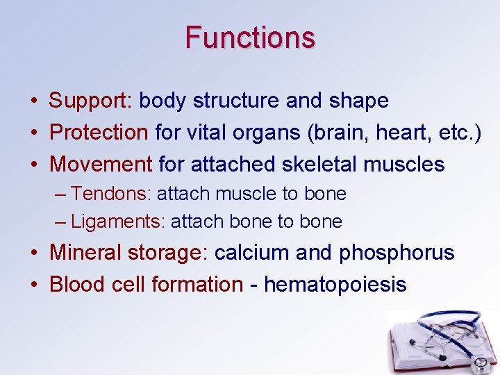 Functions • Support: body structure and shape • Protection for vital organs (brain, heart,
