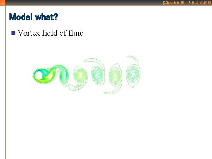 aselab 東 大長谷川(晶)研 Model what? n Vortex field of fluid 