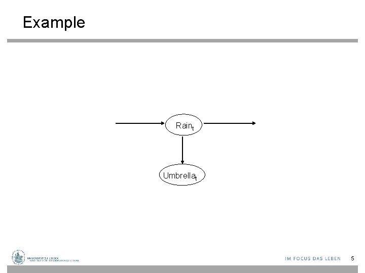 Example Raint Umbrellat 5 