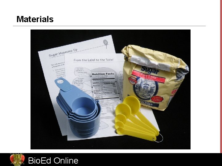 Materials Bio. Ed Online www. Bio. Ed. Online. org 