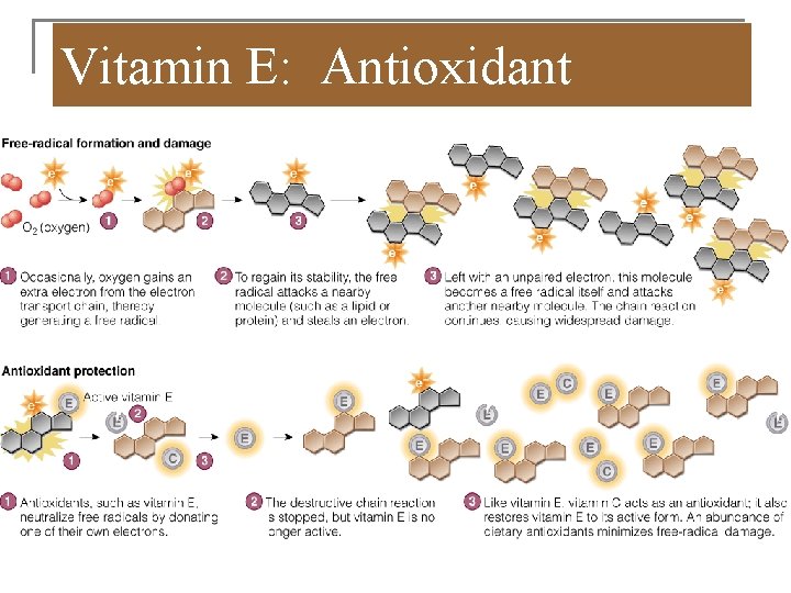 Vitamin E: Antioxidant 