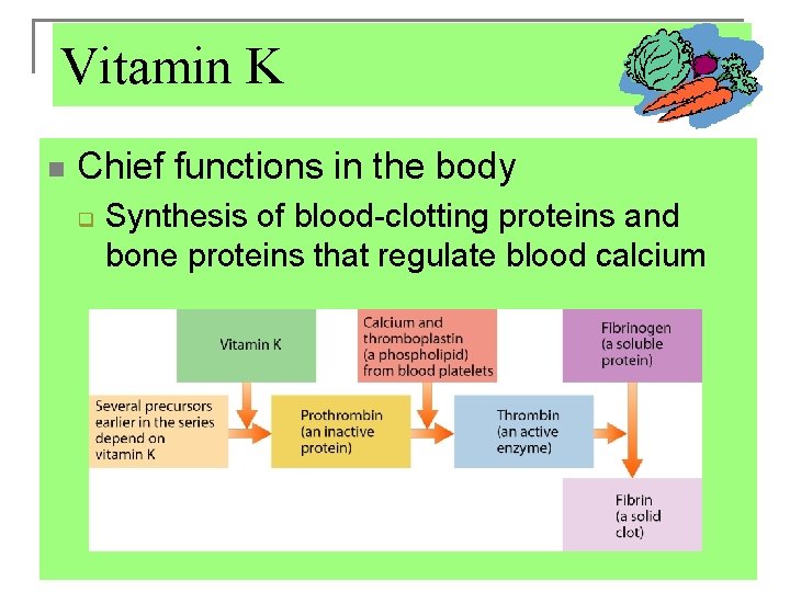 Vitamin K n Chief functions in the body q Synthesis of blood-clotting proteins and