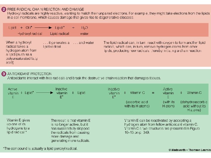 Objectives Antioxidants 