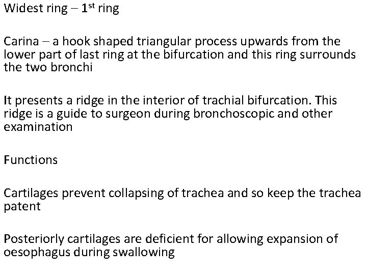 Widest ring – 1 st ring Carina – a hook shaped triangular process upwards