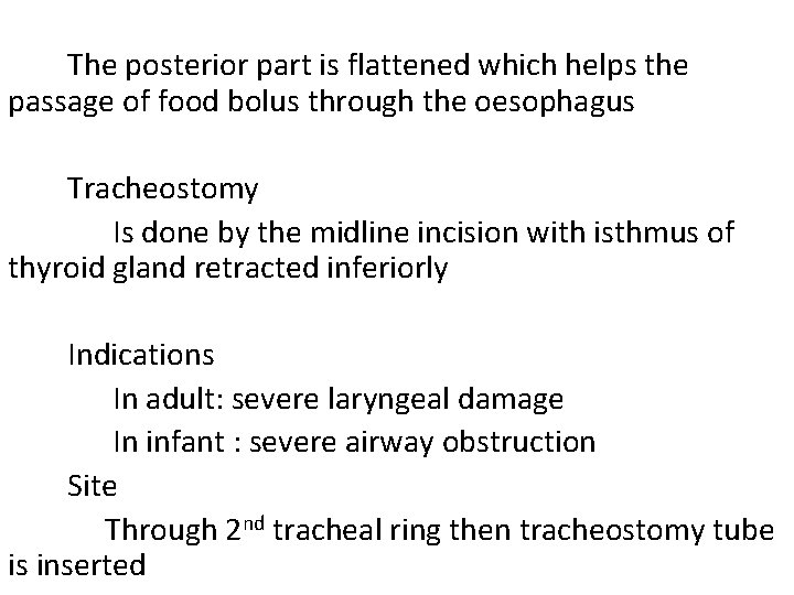 The posterior part is flattened which helps the passage of food bolus through the