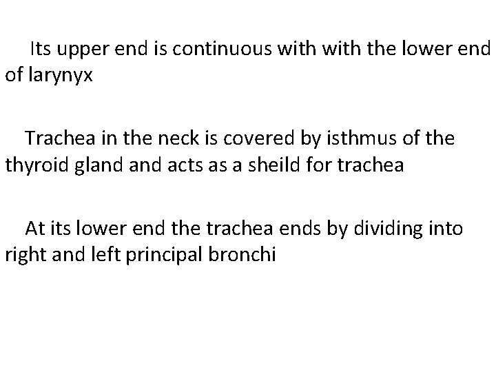 Its upper end is continuous with the lower end of larynyx Trachea in the