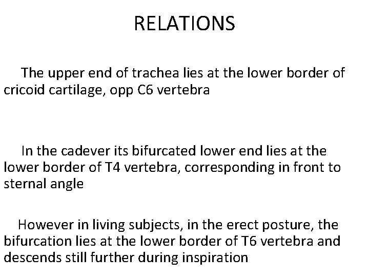 RELATIONS The upper end of trachea lies at the lower border of cricoid cartilage,