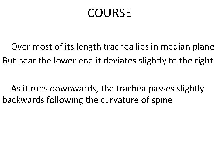 COURSE Over most of its length trachea lies in median plane But near the