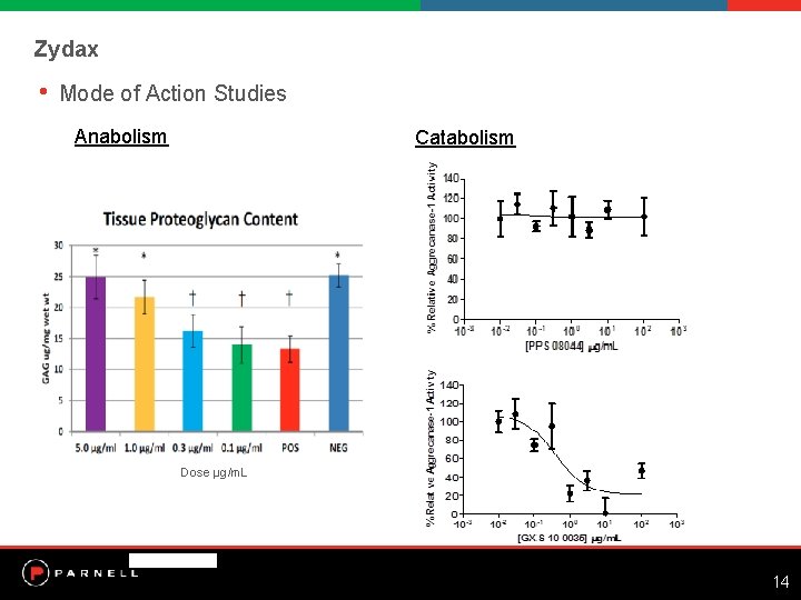 Zydax • Mode of Action Studies Anabolism Catabolism Dose μg/m. L 14 