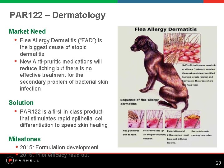 PAR 122 – Dermatology Market Need • • Flea Allergy Dermatitis (“FAD”) is the