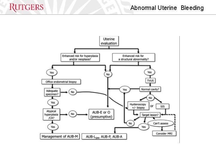 Abnormal Uterine Bleeding 